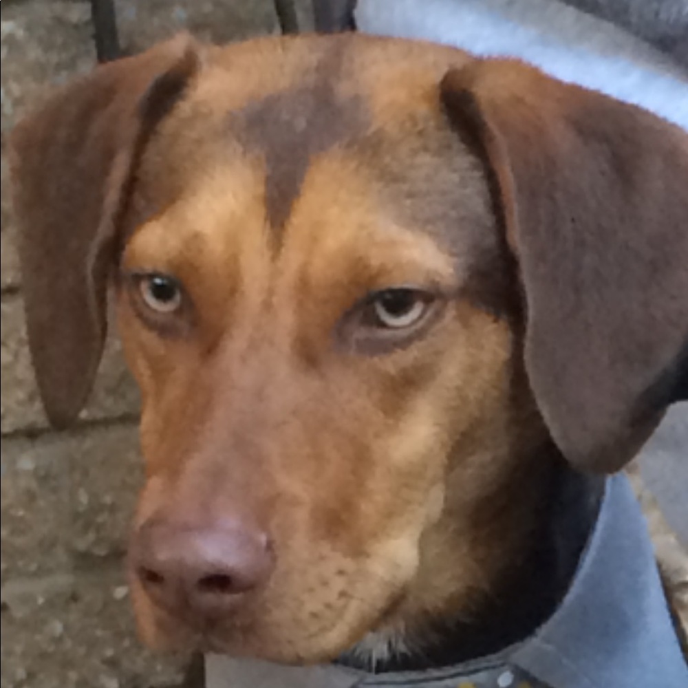 Meet your Posher, Sunita